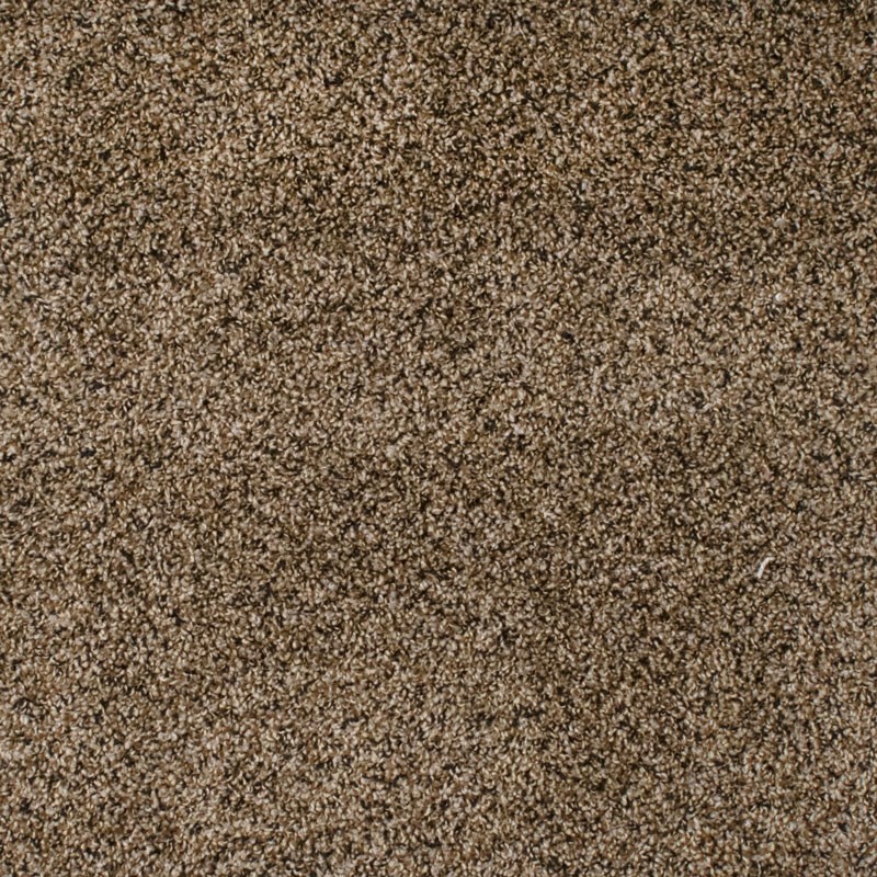 Carpet Wolverine Color Rustic Charm 383