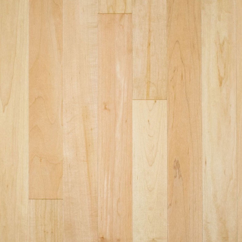 Wood Floors Plus > Engineered Maple > DISCONTINUED Yorktown 3 inch x 3/8  Maple 29.7 sf/ctn