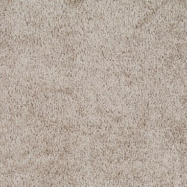 Discontinued Carpet Preseason EP315 1825