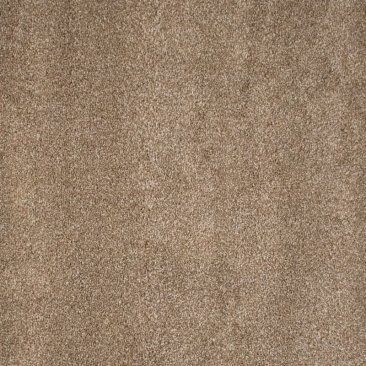 Carpet Allure 552 Tan Lines 40 oz