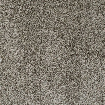 Discontinued Carpet Wolverine Color Asbury 433