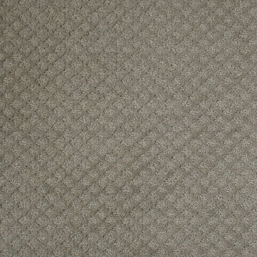 Discontinued Carpet Southlake Color 800 Silver Birch