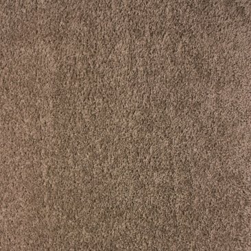 Stocking Carpet Preseason EP315 1783