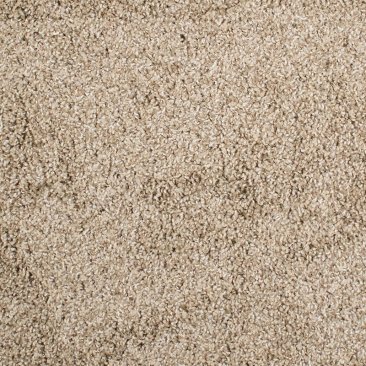 Discontinued Stocking Carpet 24 oz 743 12 foot  Cut Price